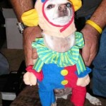 Meu dono é idiota?… 18