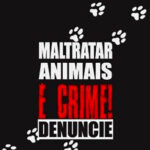 Farejando o câncer