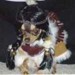 Meu dono é idiota?… 19